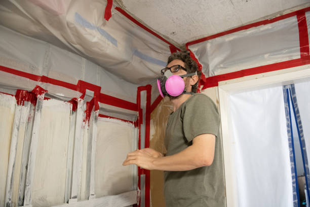 Best Post-Construction Mold Inspection  in Maeser, UT
