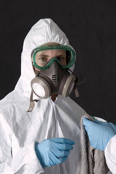 Best Mold Prevention Services  in Maeser, UT